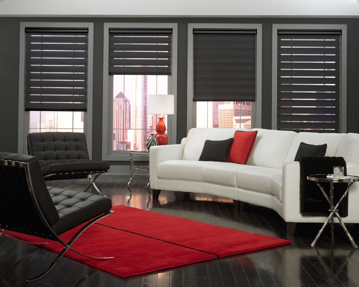 Alamode Decor Economy Dual Shades 